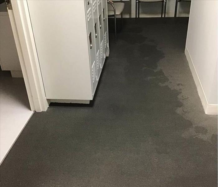 Carpet with clear water lines due to a pipe burst flooding the facility with water